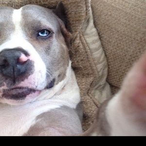 Meet your Posher, Jeff